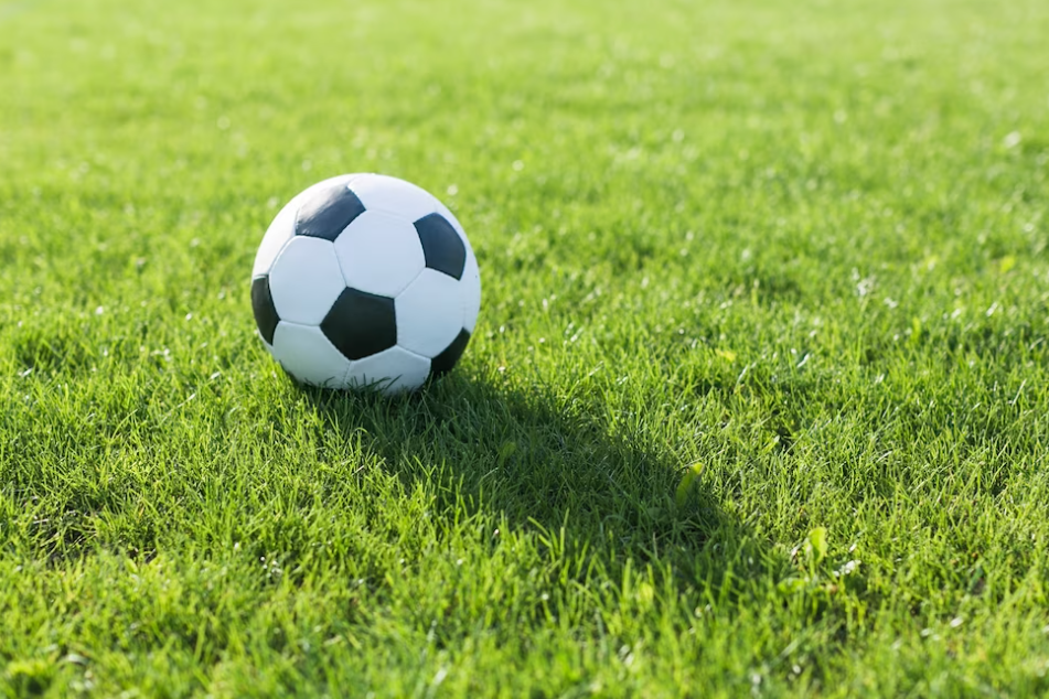 black and white ball on green grass